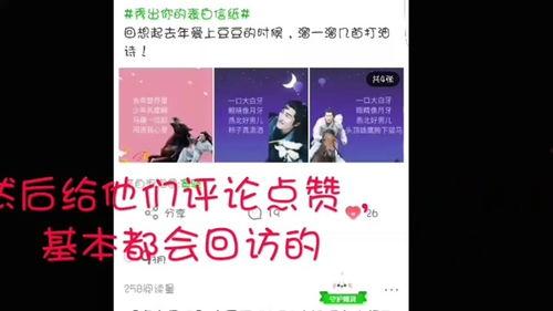 爆料明星素材视频大全集,明星素材视频大全集深度解析  第3张